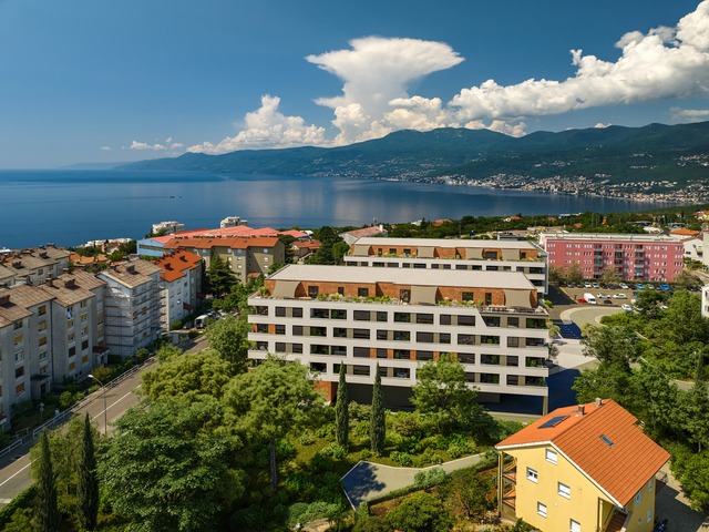 Srdoči image